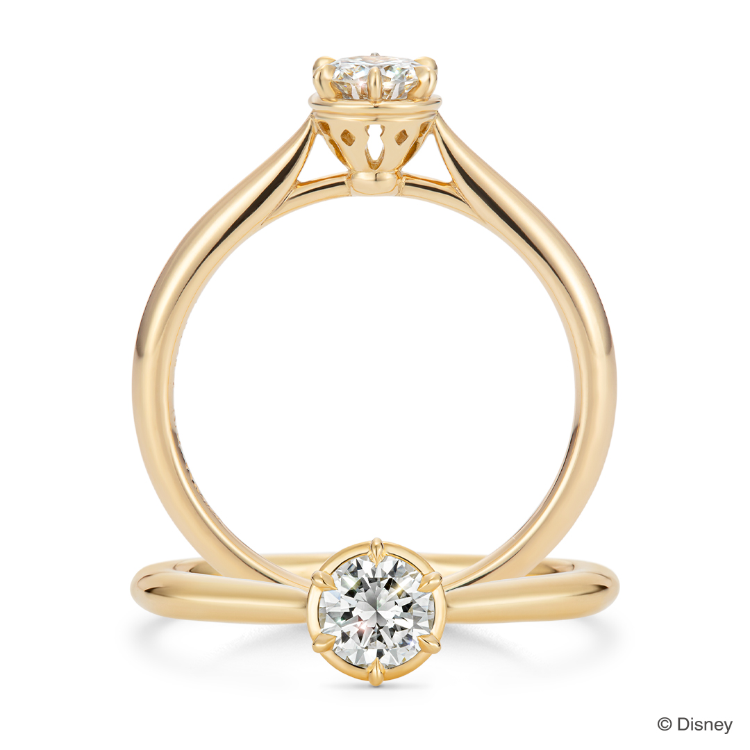 アラジン』/ 婚約指輪[RDANS-563]｜婚約指輪（エンゲージリング 