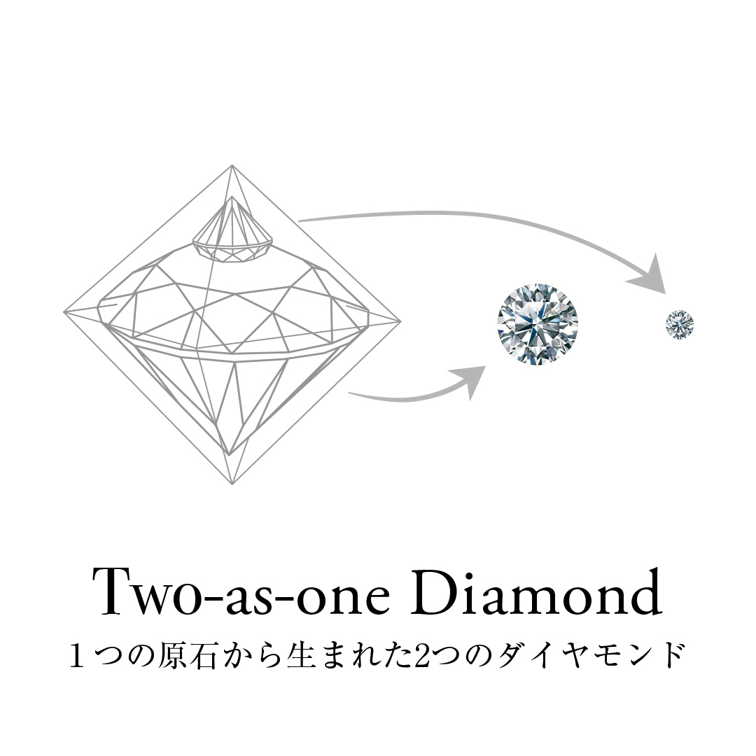 F／VS2／3EX ／0.288ct・0.014ct